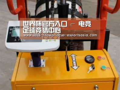 世界杯官方入口案例展示三