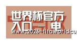 世界杯官方入口合作伙伴二