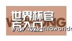 世界杯官方入口合作伙伴三