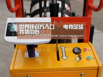 世界杯官方入口案例展示三(图1)