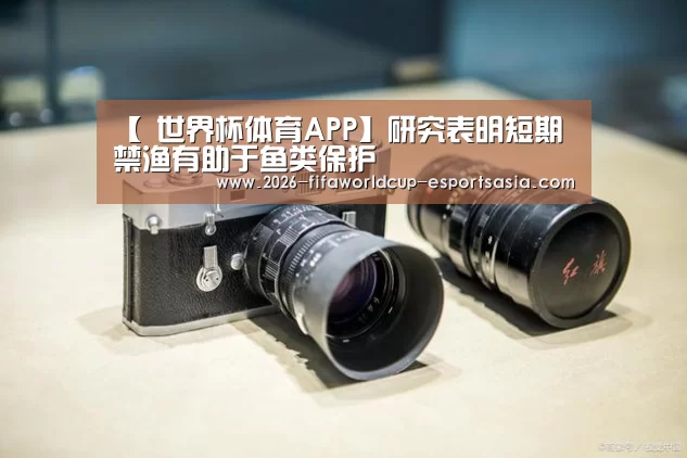 【 世界杯体育APP】研究表明短期禁渔有助于鱼类保护(图3) 世界杯竞猜