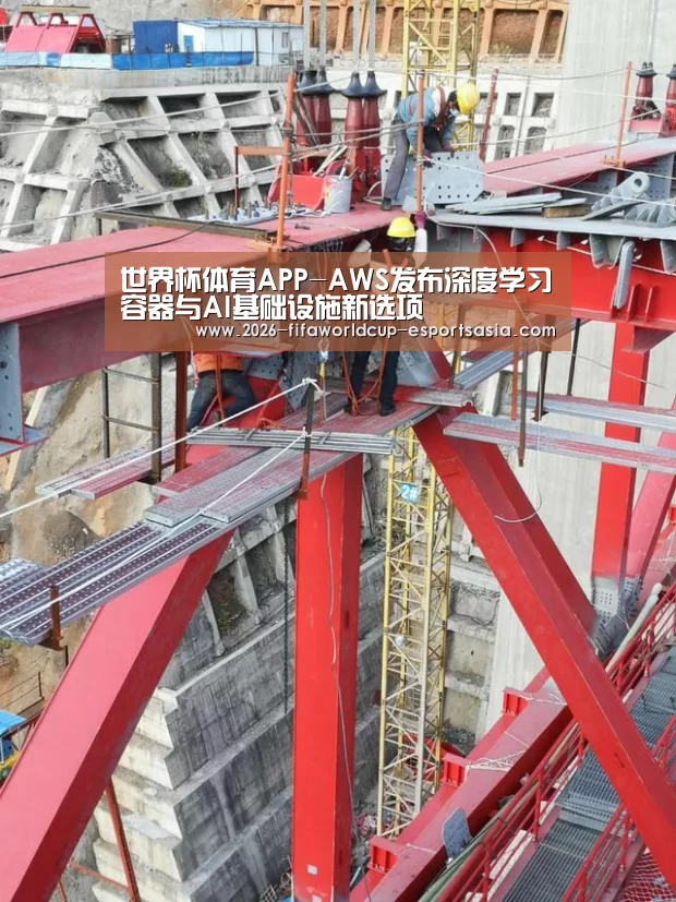 世界杯体育APP-AWS发布深度学习容器与AI基础设施新选项(图4) 世界杯竞猜