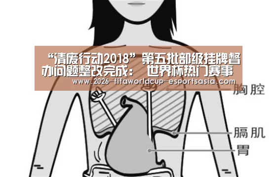 “清废行动2018”第五批部级挂牌督办问题整改完成: 世界杯热门赛事(图4) 世界杯体育APP