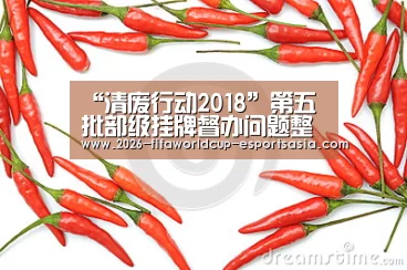 “清废行动2018”第五批部级挂牌督办问题整改完成: 世界杯热门赛事(图2) 世界杯竞猜