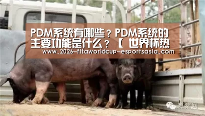 PDM系统有哪些?PDM系统的主要功能是什么?【 世界杯热门赛事】(图2) 世界杯体育APP