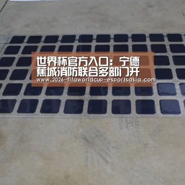 世界杯官方入口:宁德蕉城消防联合多部门开展平安系列宣传活动(图2) 世界杯热门赛事