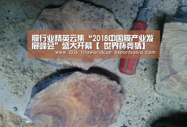世界杯官方入口